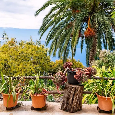 El Palmeral Σπίτι διακοπών *